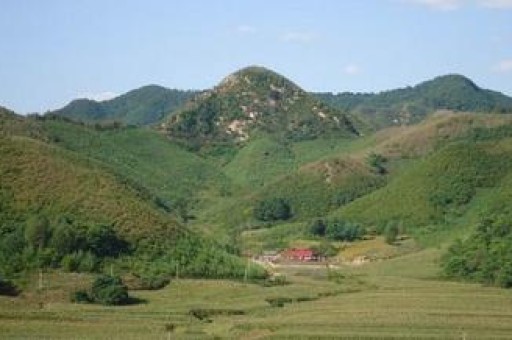 买乐意劳动打一个生肖,欲钱买乐意劳动的生肖是什么